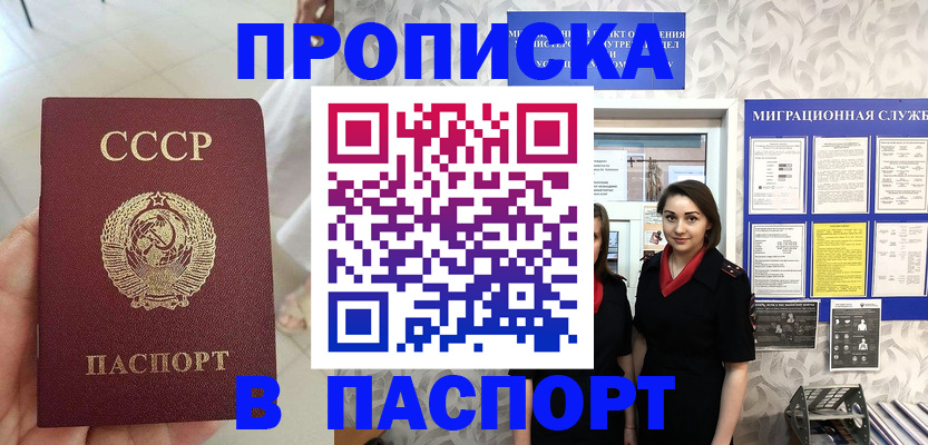 прописка 2025 в Тимашёвске
